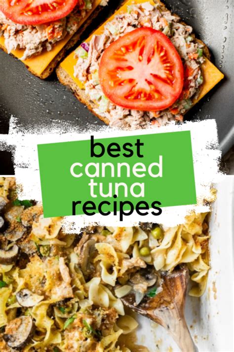 fish recipes|27 Best Canned Tuna Recipes & Ideas .